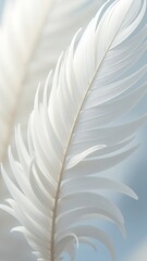 Poster - A close up of white feathers