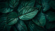 © HQAsset - Close-Up View of Vibrant Green Leaves with Detailed Veining, Creating a Natural and Organic Texture Background