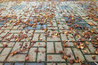 © Анатолий Еремин - Perspective view of a pavement made of paving slabs strewn with fallen chestnut fruits and broken shells. Background.