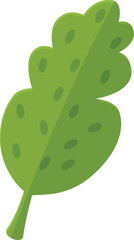Poster - Sorrel leaf with growing seeds, representing growth, nature, and healthy food