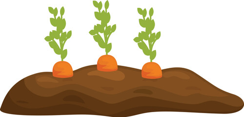 Poster - three carrots growing in a patch of fertile soil, representing agriculture, healthy eating, and gard