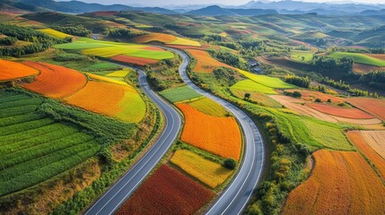 Poster - Aerial view of a winding road through vibrant, colorful fields in a picturesque landscape during daylight