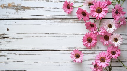 Wall Mural - White wooden spring background with pink daisy flowers