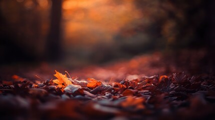 Poster - Fallen autumn leaves cover the forest floor at dusk, capturing the beauty of nature's seasonal transformation