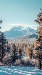 Poster - Winter landscape showcasing the serene beauty of the San Francisco Peaks covered in snow near Flagstaff, Arizona on a clear day