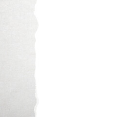 Poster - Image shows the torn edge of a white sheet of paper, isolated on a white background. The texture of the paper is visible. Concept of torn paper effect