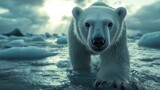 A solitary polar bear navigates the fragile ice in its quest for survival under a stormy Arctic sky