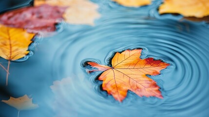 Poster - Vibrant Autumn Leaves Floating on Water