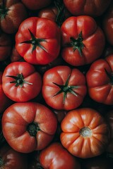 Wall Mural - Fresh red tomatoes displayed at a market highlighting their vibrant color and smooth texture