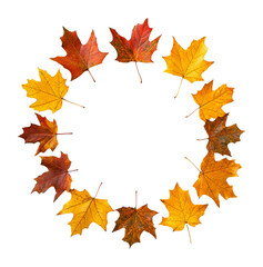 Wall Mural - autumn leaves in a circle