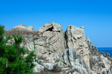 Wall Mural - The curiouse abstract aged flate and cracked rock.