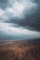 Poster - Aerial view of the desert landscape with sand dunes and cacti