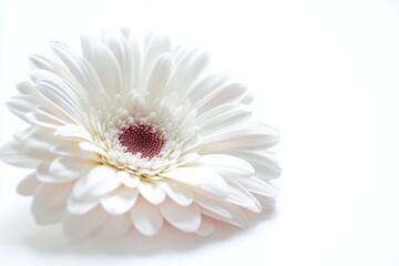 Aufkleber - A single flower on a white background