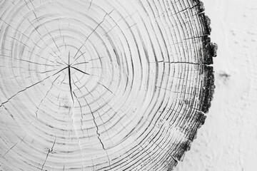 Poster - A close-up shot of a wooden plank in black and white