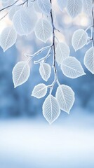 Poster - Soft white leaves gently cascading against a smooth gradient background in a serene setting during daylight hours