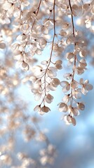 Poster - Soft white leaves gently cascading against a smooth gradient background in a serene setting during daylight hours