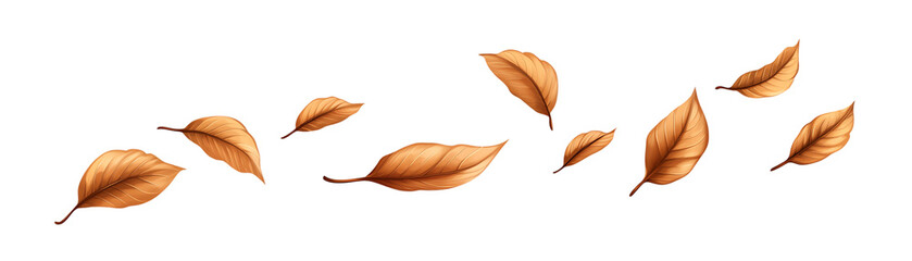 Wall Mural - A collection of autumn leaves floating gently in the air, capturing the essence of the changing seasons and nature's beauty. transparent background