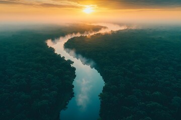 Canvas Print - River winding through lush forest at sunrise in tranquil landscape