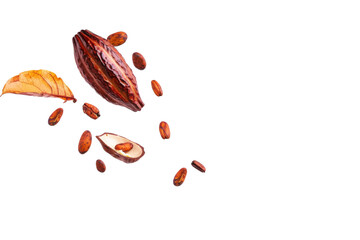 Wall Mural - Dried cocoa beans, beans, seeds and leaves falling in the air isolated on background, organic healthy ingredients.