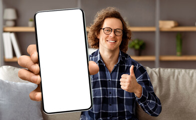 Poster - Happy Freelancer Guy At Laptop Gesturing Thumbs Up Approving Freelance Career Posing Sitting On Sofa At Home, Smiling To Camera. I Like Distant Job And Work Online Concept