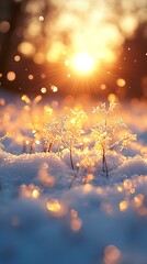 Poster - Beautiful Icy Plants Reflecting Sparkling Sunlight in Winter Scenery : Generative AI