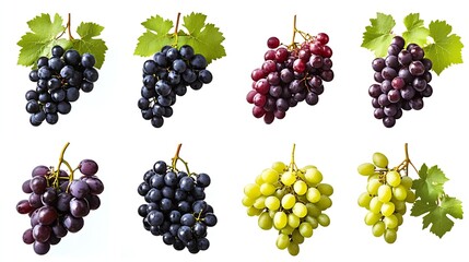 Poster - Assorted Grapes Bunches with Green Leaves Isolated on White : Generative AI