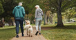 © peopleimages.com - Back, old couple and walking dog in park together for outdoor fitness, health or wellness. Exercise, hobby or leisure with senior man and woman training pet Labrador in nature for animal obedience