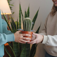 Wall Mural - A photo of a person giving another person a cactus as a gift. The person receiving the gift is smiling. The background is a lush green park with trees and grass