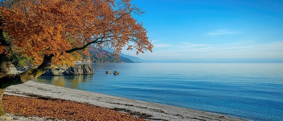 Poster - Autumnal tree by tranquil seaside.