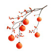 © EmBaSy - Celebrating new year’s luck with red lanterns isolated on white background still life minimalist viewpoint