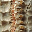 © Paul - Highly detailed cross-section of lumbar spine and sacral region, emphasizing nerve pain and spinal compression injury