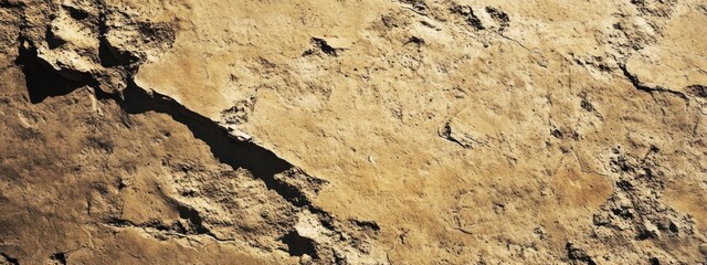 Aufkleber - Close-up of a textured rock surface with natural patterns and colors.