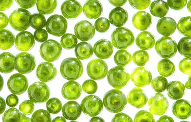 Poster - A close-up view of vibrant green spheres resembling bubbles or beads.