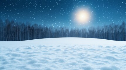 Wall Mural - Snowy landscape under a starry night sky.