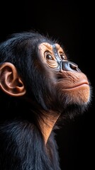 Poster - A close-up profile of a young primate with expressive features against a dark background.