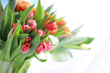 Wall Mural - Flowers, spring holidays and home decor concept - Bouquet of beautiful tulips, floral background