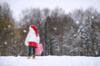 © alexkich - A winter fairy tale, a young mother and her daughter ride a sled in the forest.