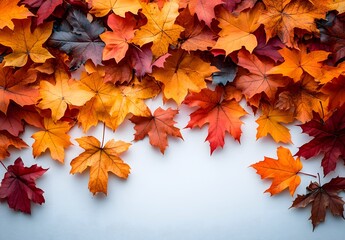 Wall Mural - Autumn Leaves Border on a White Background