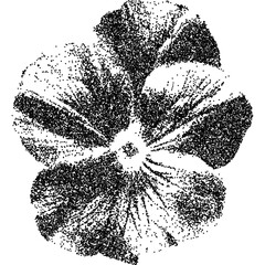 Fototapete - Daisy flower with halftone stipple effect, for grunge punk y2k collage design. Vector illustration in grainy photocopy texture for experimental dotted retro banner design