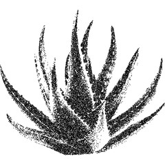 Fototapete - Aloe with retro photocopy stipple effect, for grunge punk y2k collage design. Vector illustration in vintage halftone brutalist design for banner or poster