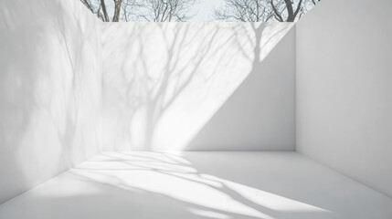 Aufkleber - White room with trees shadows and sunlight