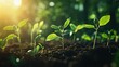 © MAGNIFIER - The imagery conveys the idea that innovation in the financial sector is the seed for growth, fostering a healthier and more sustainable financial ecosystem