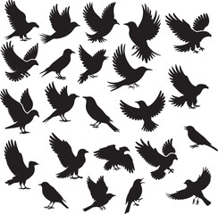 set of vector icon bird silhouette	
