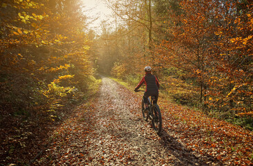 Wall Mural - woman cycling with electric mountain bike at sunset in a colorful autumn forest in Baden-Wuerttemberg, Germany