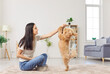 © Studio Romantic - Happy beautiful young woman playing with cute puppy dog at home smiling, laughing, relaxing in cozy modern living room interior, funny pet cuddling, spending weekend leisure, joyful fun moment