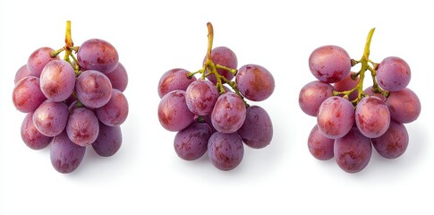 Aufkleber - Piles of fresh grapes with green leaves, different shades of dark purple grapes for refreshment.