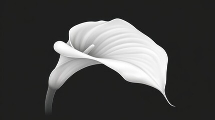 Poster - Elegant Close-Up of a Single White Calla Lily Petal Against a Dark Background Revealing its Smooth Curves and Textural Details in Minimalist Style