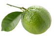 © Dmitry - Whole lime fruit with fresh green leaf on a transparent background