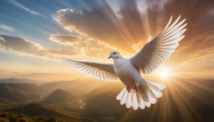 illustration of a white dove flying free with delicate rays of light behind it