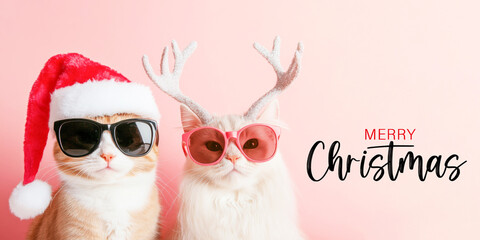 Wall Mural - merry christmas xmas concept holiday vacation winter funny animal pet greeting card with text - cool